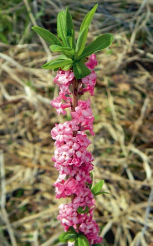 В глуши таёжной (сборник) В глуши таёжной (сборник)