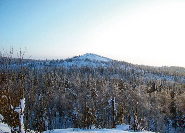 В глуши таёжной (сборник) В глуши таёжной (сборник)