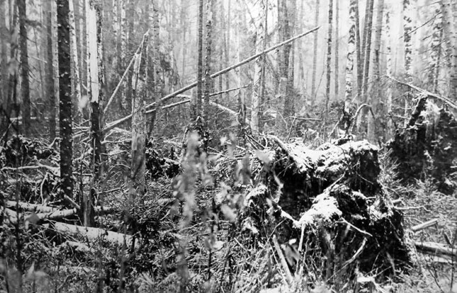 В глуши таёжной (сборник) В глуши таёжной (сборник)