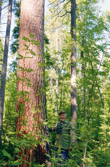 В глуши таёжной (сборник) В глуши таёжной (сборник)