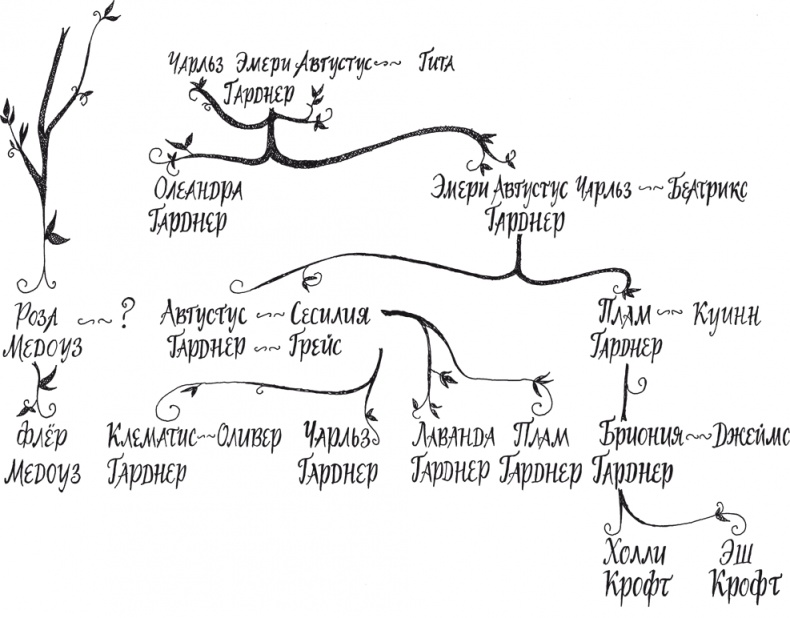 Орхидея съела их всех Орхидея съела их всех