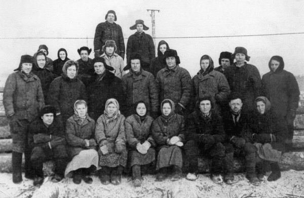 Солнце над лесом (сборник) Солнце над лесом (сборник)