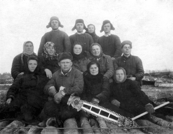 Солнце над лесом (сборник) Солнце над лесом (сборник)
