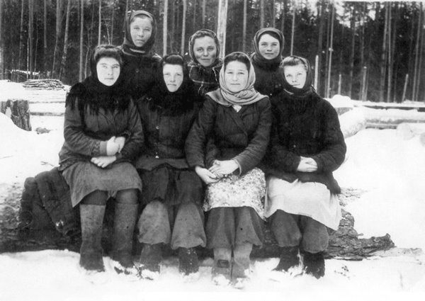 Солнце над лесом (сборник) Солнце над лесом (сборник)