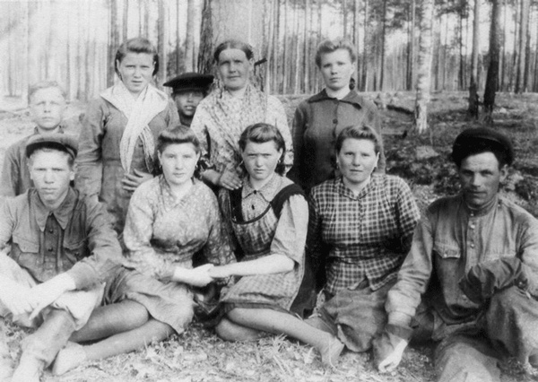 Солнце над лесом (сборник) Солнце над лесом (сборник)