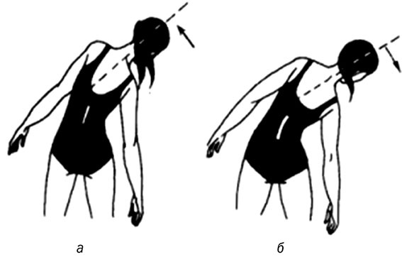 Здоровый позвоночник Здоровый позвоночник
