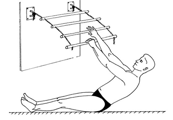 Здоровый позвоночник Здоровый позвоночник