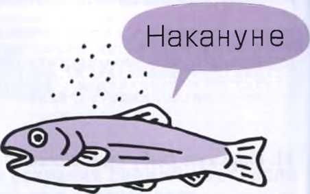 Маленькие японские хитрости Маленькие японские хитрости