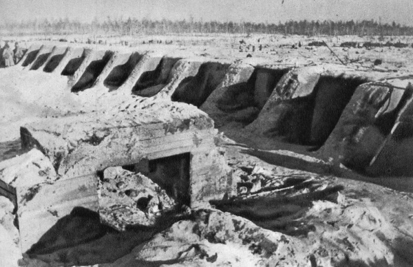 Капитан госбезопасности. Линия Маннергейма Капитан госбезопасности. Линия Маннергейма