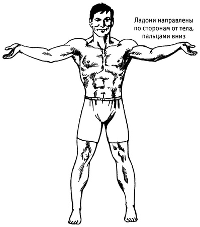Живая пища. Сыроедение: энергетика, психология Живая пища. Сыроедение: энергетика, психология