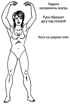Живая пища. Сыроедение: энергетика, психология Живая пища. Сыроедение: энергетика, психология