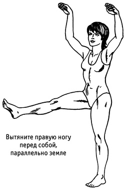 Живая пища. Сыроедение: энергетика, психология Живая пища. Сыроедение: энергетика, психология