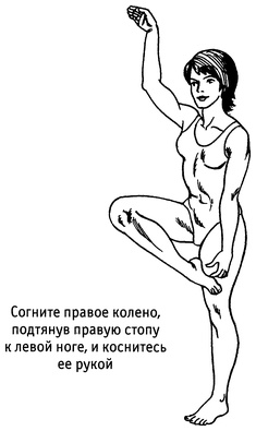 Живая пища. Сыроедение: энергетика, психология Живая пища. Сыроедение: энергетика, психология