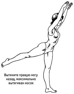 Живая пища. Сыроедение: энергетика, психология Живая пища. Сыроедение: энергетика, психология