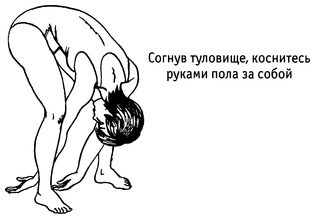 Живая пища. Сыроедение: энергетика, психология Живая пища. Сыроедение: энергетика, психология