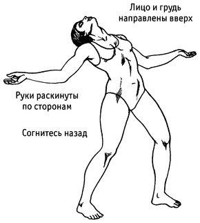 Живая пища. Сыроедение: энергетика, психология Живая пища. Сыроедение: энергетика, психология