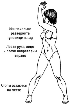 Живая пища. Сыроедение: энергетика, психология Живая пища. Сыроедение: энергетика, психология