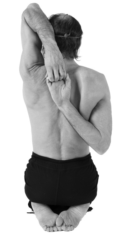 Живая пища. Сыроедение: энергетика, психология Живая пища. Сыроедение: энергетика, психология