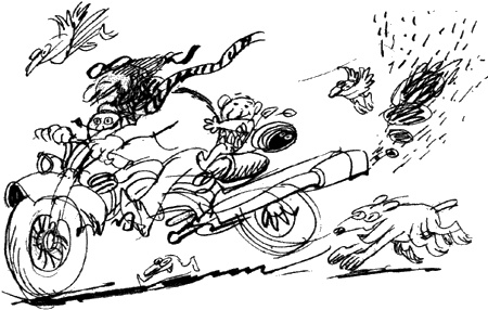 Мудрый Исправитель Недостатков Мудрый Исправитель Недостатков