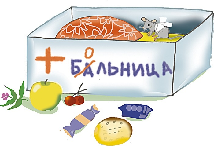 Одомашнивание кота Мурзика Одомашнивание кота Мурзика
