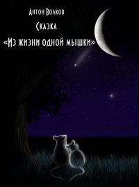 Из жизни одной мышки - Антон Волков - Читать книги онлайн | Слушать аудиокниги онлайн | Электронная библиотека books-lib.com