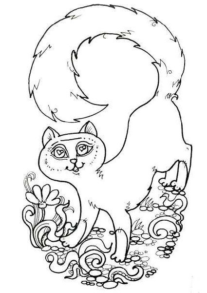 Кошка и ветер Кошка и ветер