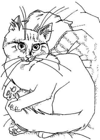 Кошки как дети Кошки как дети