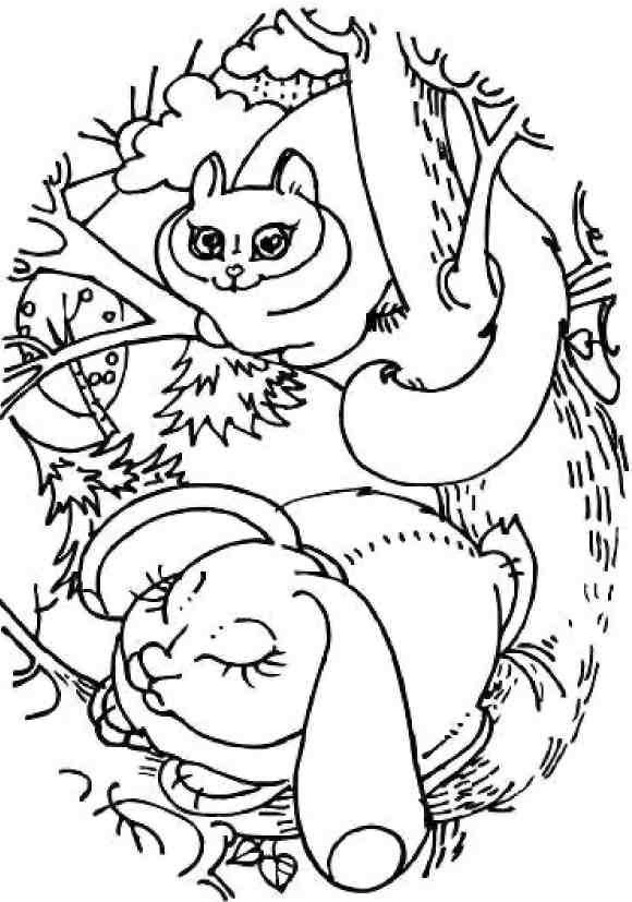 Кошкин мир (сборник) Кошкин мир (сборник)