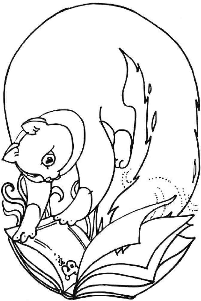 Кошкин мир (сборник) Кошкин мир (сборник)
