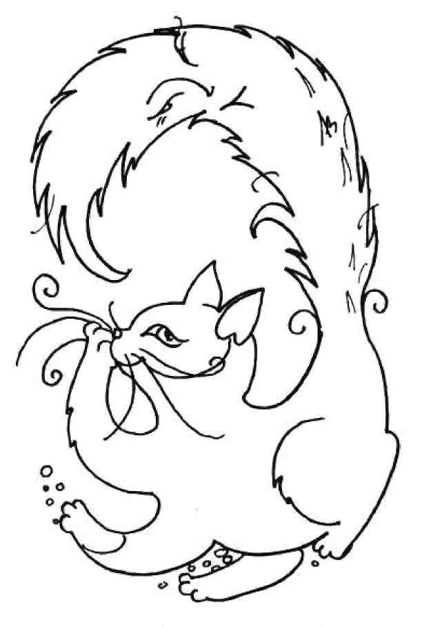 Кошкин мир (сборник) Кошкин мир (сборник)