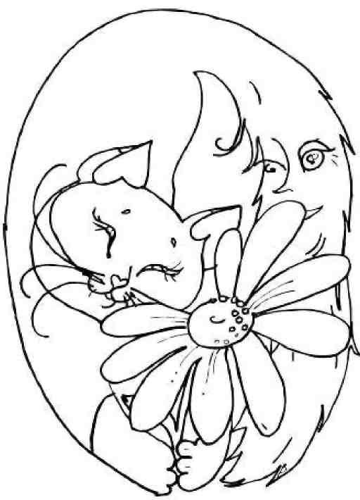 Кошкин мир (сборник) Кошкин мир (сборник)