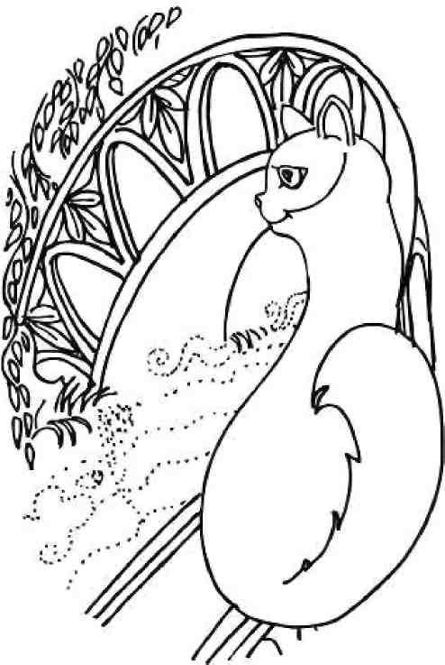 Кошкин мир (сборник) Кошкин мир (сборник)