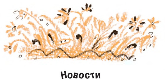 Король-Рысь Король-Рысь