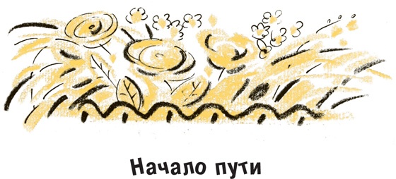 Король-Рысь Король-Рысь