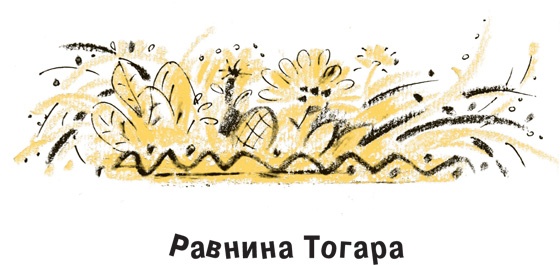 Король-Рысь Король-Рысь