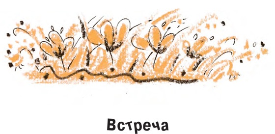 Король-Рысь Король-Рысь