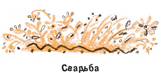 Король-Рысь Король-Рысь