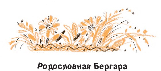 Король-Рысь Король-Рысь