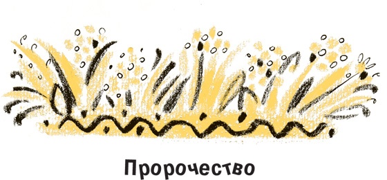 Король-Рысь Король-Рысь