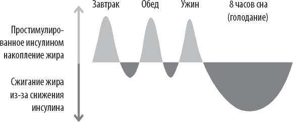 Тоньше, Суше, Сильнее. Простая наука о построении женского тела Тоньше, Суше, Сильнее. Простая наука о построении женского тела