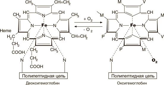 На грани возможного. Наука выживания На грани возможного. Наука выживания