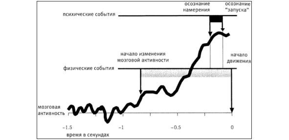 Как работает мир, в котором я живу Как работает мир, в котором я живу