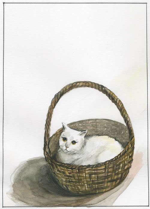 Каникулы Энн Каникулы Энн