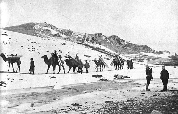 Турецкий фронт России. 1914-1917 Турецкий фронт России. 1914-1917