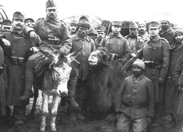 Турецкий фронт России. 1914-1917 Турецкий фронт России. 1914-1917