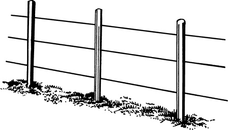 Большая энциклопедия виноградаря Большая энциклопедия виноградаря