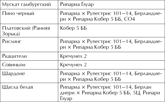 Большая энциклопедия виноградаря Большая энциклопедия виноградаря