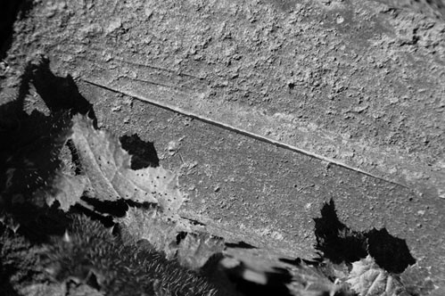 Сирийские перекрестки цивилизации Сирийские перекрестки цивилизации