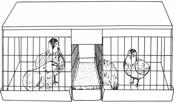 Птицеводство для начинающих. Полный справочник Птицеводство для начинающих. Полный справочник