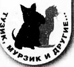 Рояль в сугробе Рояль в сугробе